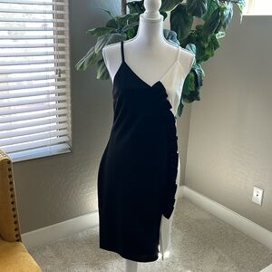 Bailey Blue Black and White Dress